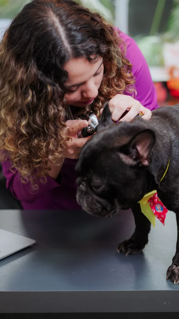 Dermatologia veterinária